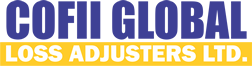 www.cofiiglobal.com