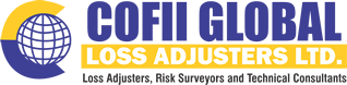 www.cofiiglobal.com